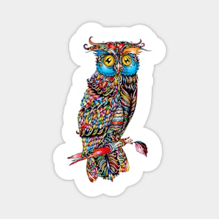 Magic Owl Magnet