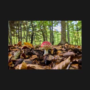 Fly agaric or fly amanita (Amanita muscaria) mushroom T-Shirt