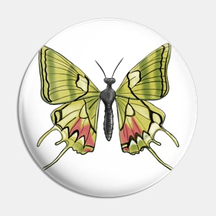 Green Butterfly Pin