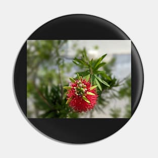 Red and Green Florida Flower 1 Pin