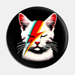 Retro Cat Rock and Roll Music Concert Festival Band Funny Cat Pin