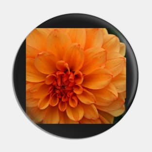 Orange Dahlia Pin