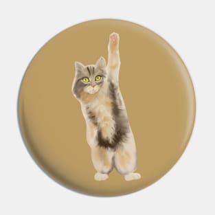 Cute cat with thé paw in the air Pin