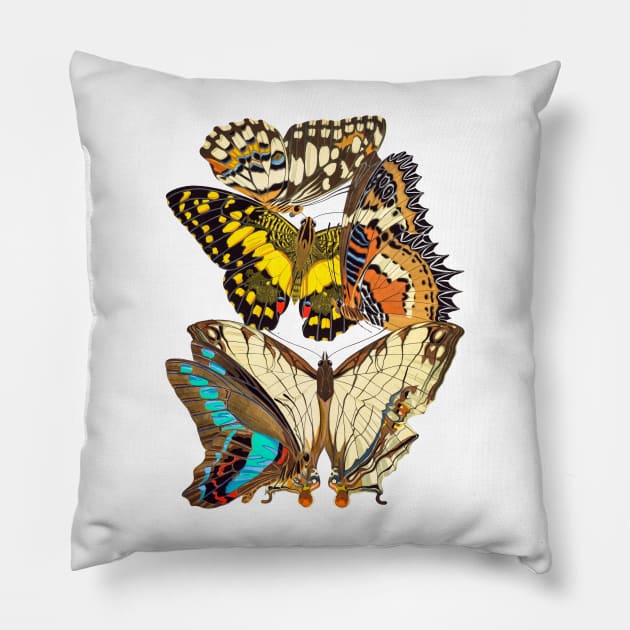 Butterflies Watercolor #6 Pillow by olemanner