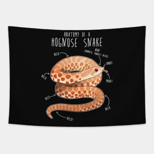 Albino Hognose Snake Anatomy Tapestry