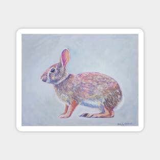 Cottontail bunny painting Magnet