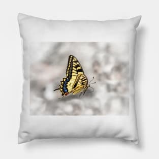 Beautiful Swallowtail Butterfly In Flight Pillow