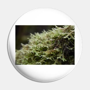 Mossy Day in the Forest Pin