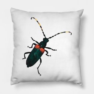 Red-Shouldered Pine Borer Beetle Pillow
