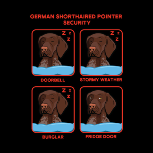 funny german shorthaired pointer pictures
