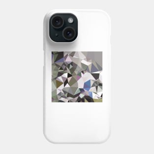 Davy Grey Abstract Low Polygon Background Phone Case