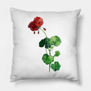 Geraniums Pillow