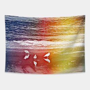 beach birds Tapestry