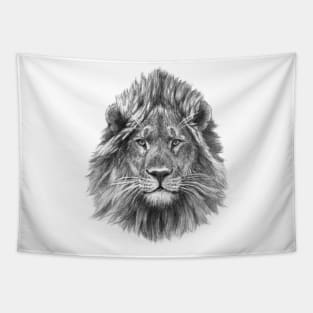 Lion face G21-002 Tapestry
