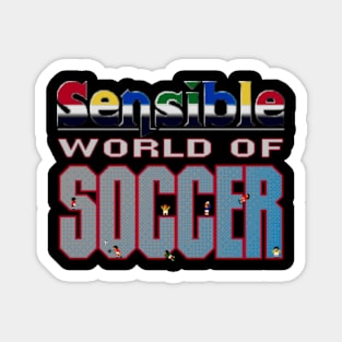 Sensible World of Soccer Magnet