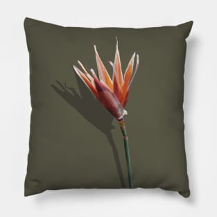 Low Poly Orange Tulip Pillow
