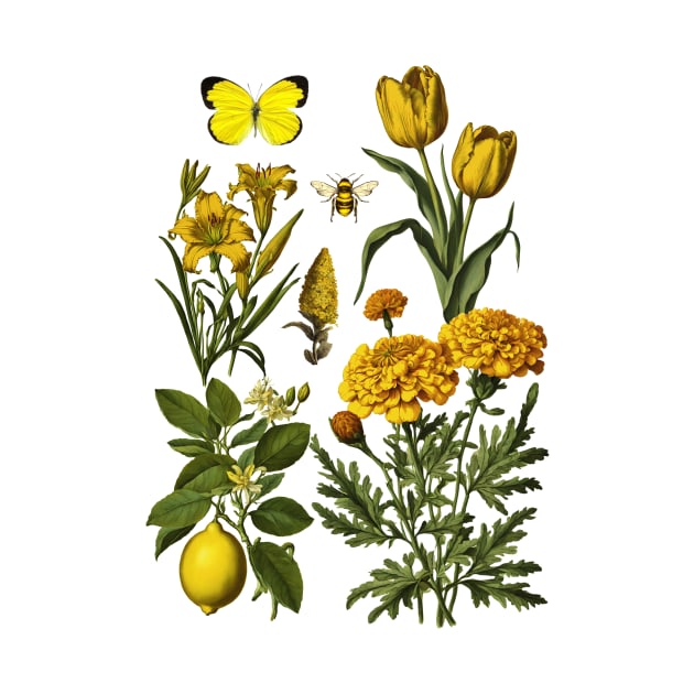 Yellow Botanicals by Kelly Jenkins