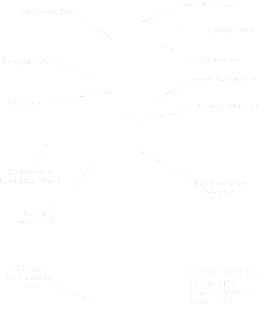 Robot Anatomy Magnet