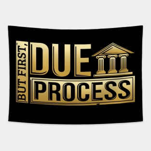 But First, Due Process Lawyer & Attorney Trial Tapestry