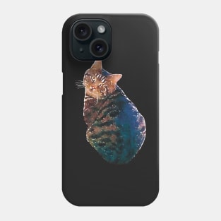 Fat Tabby Cat Watercolor Style Phone Case