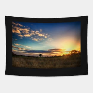 Sunny Disposition Tapestry