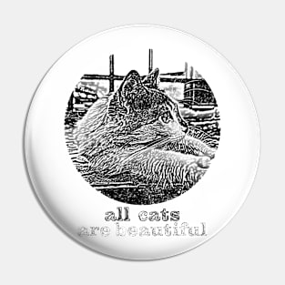 all cats are beautiful Pin