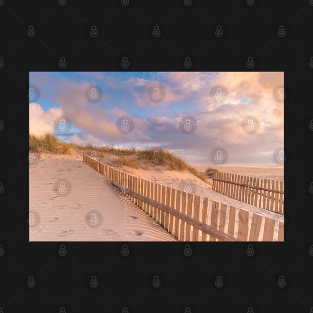 Dune Fence on Beach by homydesign