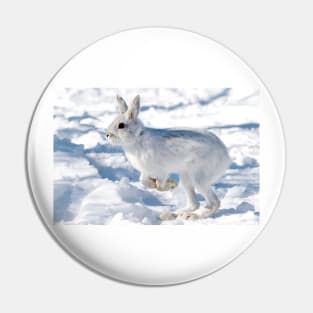 Kangaroo Rabbit - Snowshoe Hare Pin