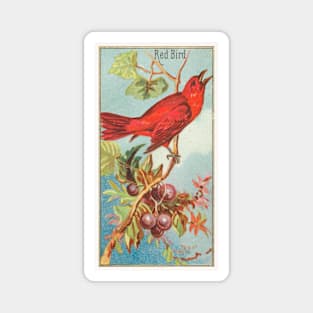 Red Bird Magnet