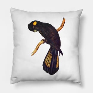 Yellow-tailed Black Cockatoo Pillow