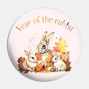 Year of the rabbit Pin