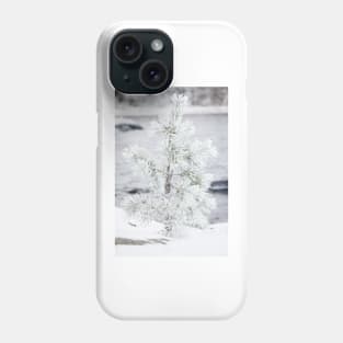 Small tree covered in snow Phone Case