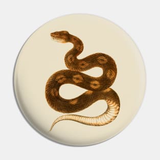 serpent,cobra,reptile,viper,venom,lizard,rattlesnake,king cobra,dragon,hydra,poison,venomous,plumber's snake,pythonidae,pythons,auger,python,squamata,serpentine,worm,big,ophidian,rattlesnakes,medusa,snakebite Pin