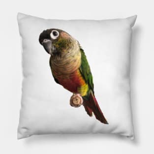 Green Cheek Conure Parrot Bird design, Love for birds Pillow