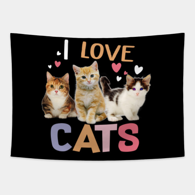 I Love Cats Cat Lover I Love Kittens Tee For Man Woman I