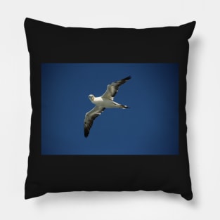 Flypast Pillow