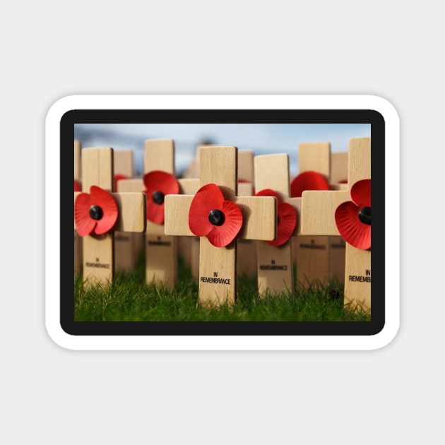 Remembrance Day - Memorial Day - Lest We Forget - Poppy Magnet by mikepod