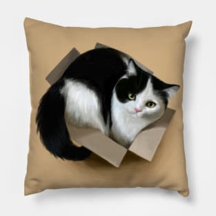 Cat in a box Pillow