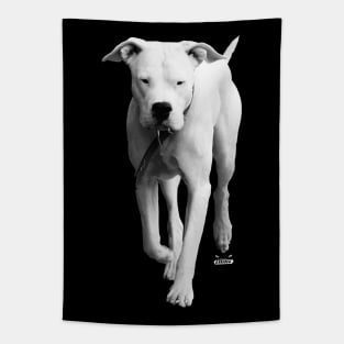 Dogo Argentino / Swiss Artwork Photography Tapestry