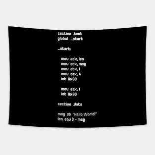 Cyber security - Hacker - Hello World Assembly Code - Exploit development Tapestry