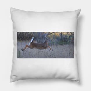 On Prancer! - White-tailed Buck Pillow