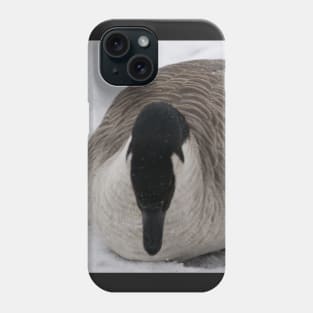 Canada Geese in the winter Phone Case