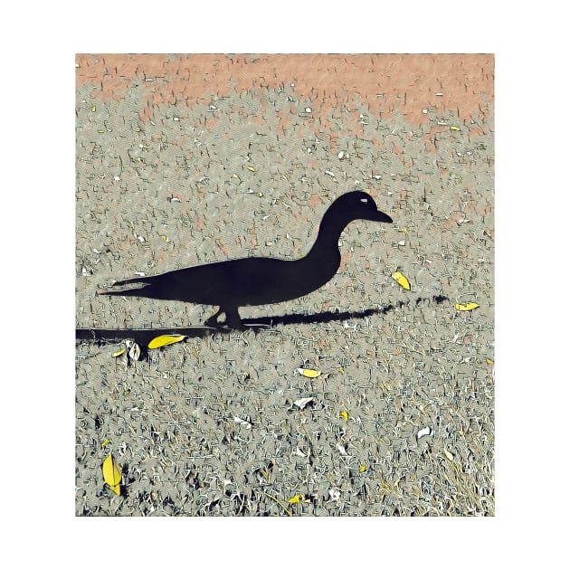 Duck Duck Shadow by Tovers