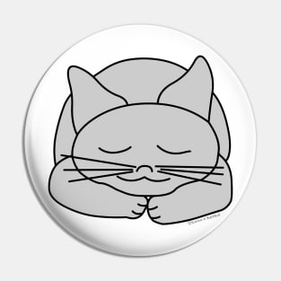 Sleeping Gray Cat Pin