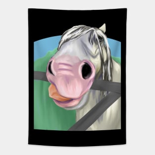 Funny horse face Tapestry