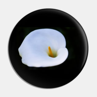 White flower Pin