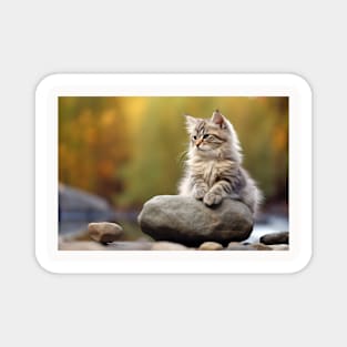 Cat Furry Pet Animal Tranquil Peaceful Magnet