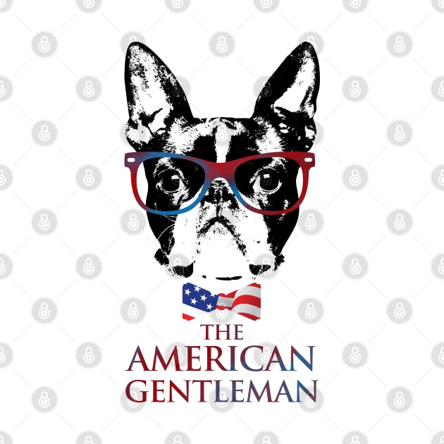 Boston Terrier  - The American Gentleman by Nartissima