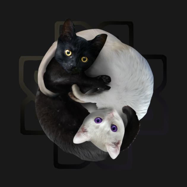 Yin Yang Cats by Random Galaxy