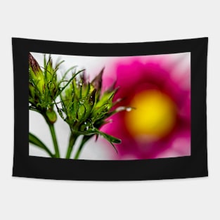 Spiky Green Plant on a Colorful Background Poster Tapestry